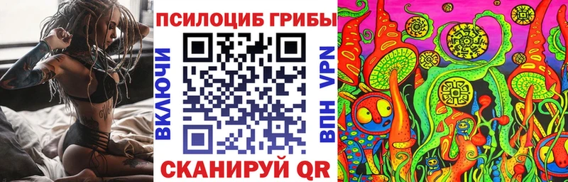 Псилоцибиновые грибы Psilocybe  Нефтегорск 